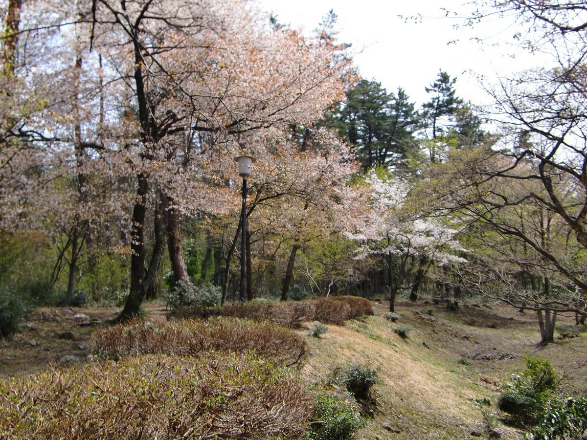 Hale Makawao Bed and Breakfast Daisen  Esterno foto