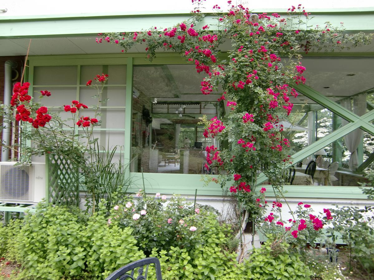 Hale Makawao Bed and Breakfast Daisen  Esterno foto