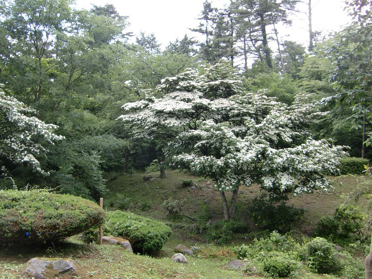 Hale Makawao Bed and Breakfast Daisen  Esterno foto